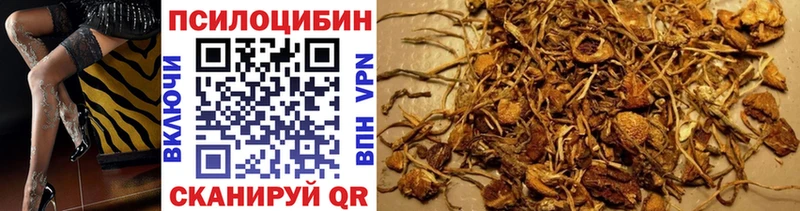 Галлюциногенные грибы Magic Shrooms  купить закладку  Цивильск 